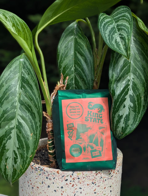 Ethiopia Gera Natural